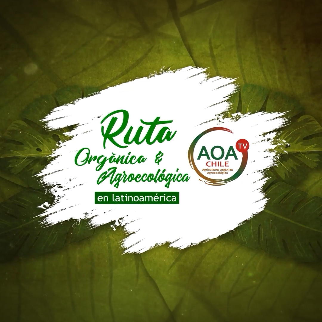 Ruta Orgánica y Agroecológica