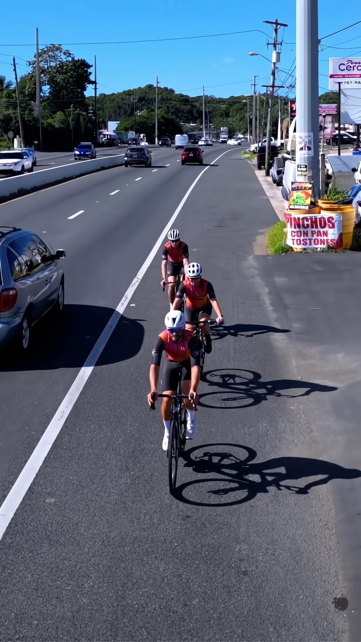 Pro Cycling Center 2